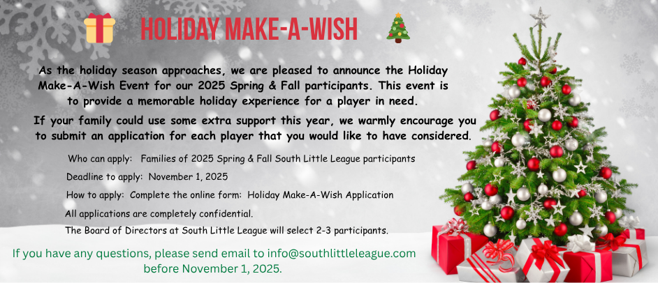 Holiday Make-A-Wish 